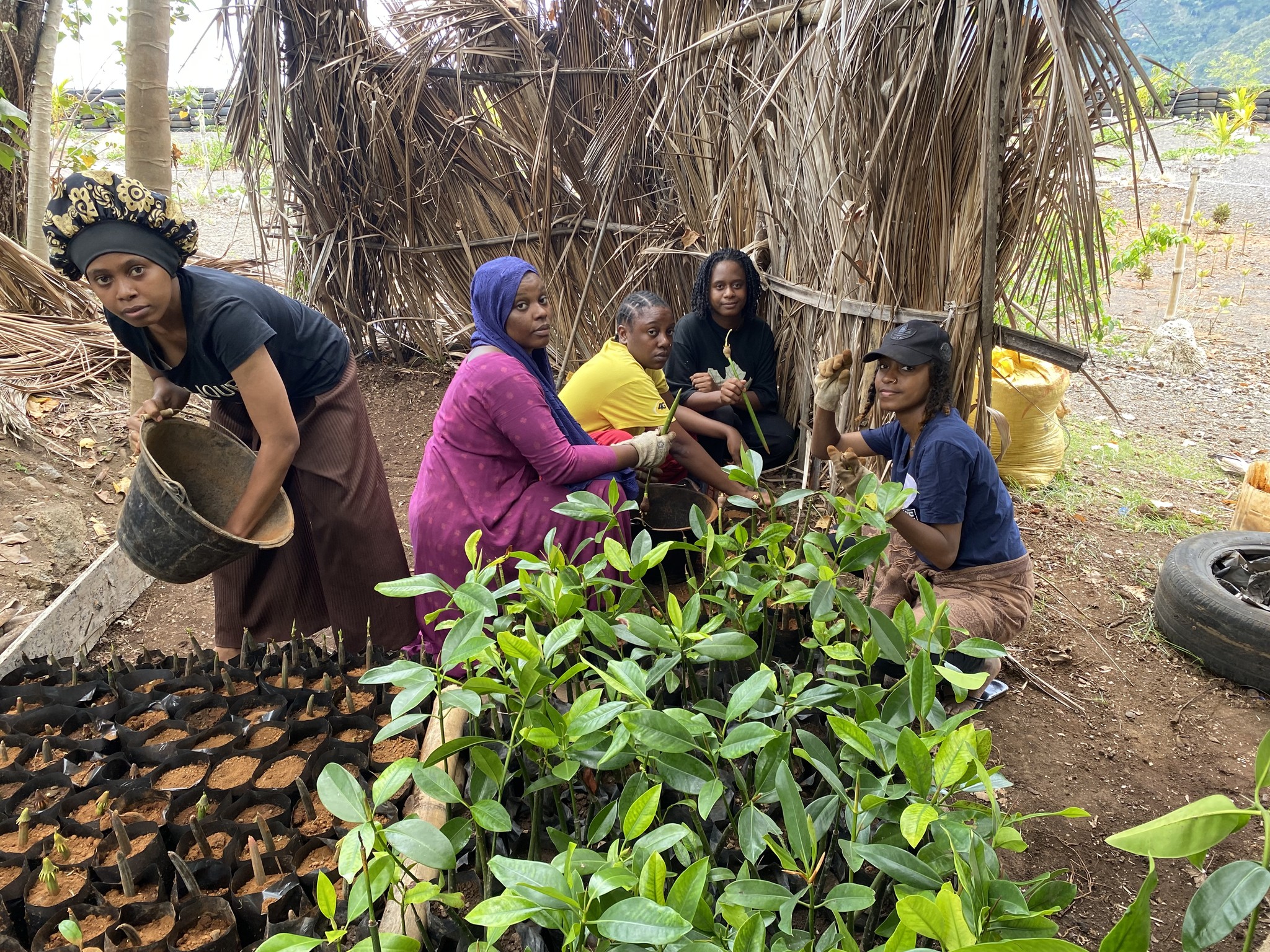 472091326_122194248074232745_8769339000537646193_n