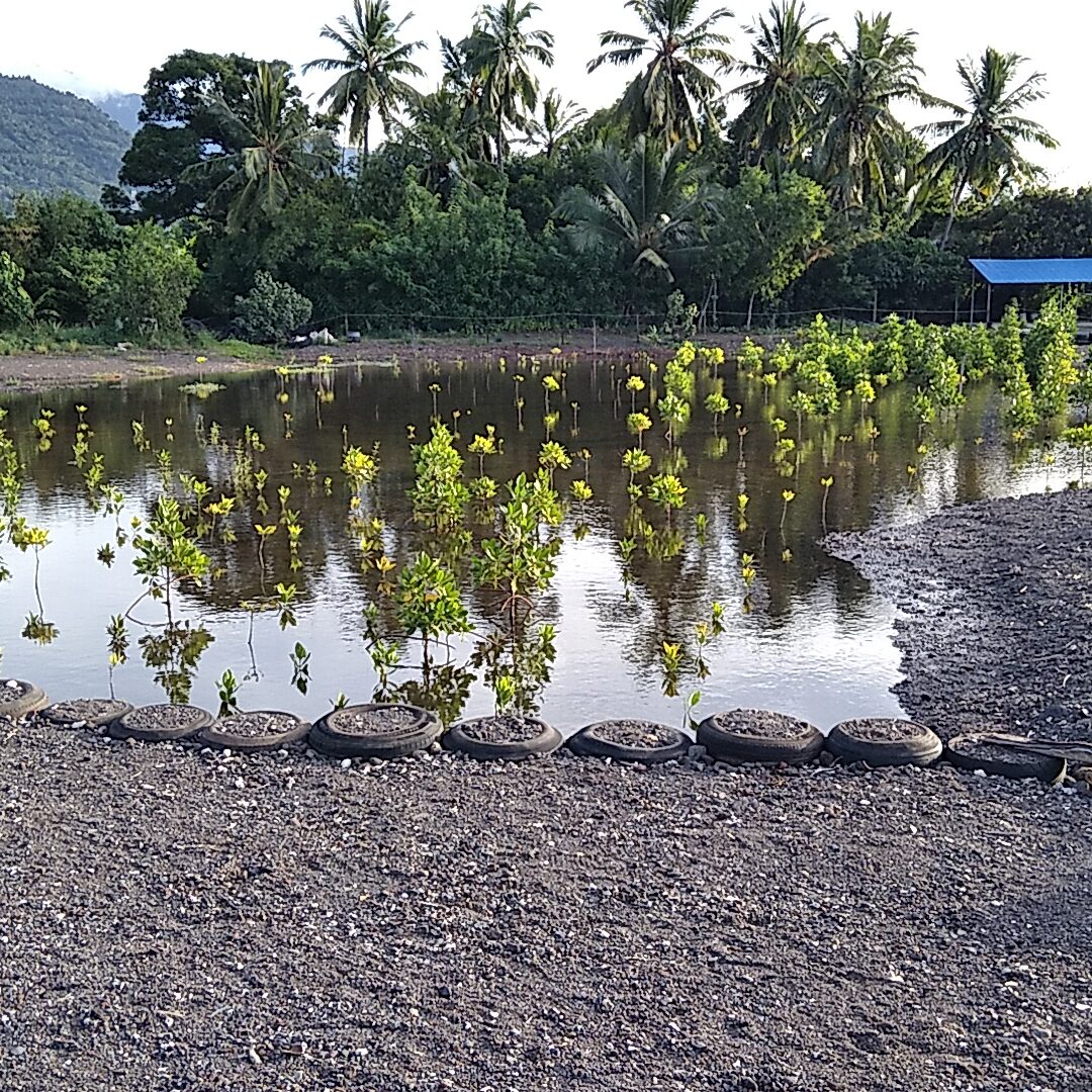 432336851_2641629189320551_4299793479540721241_n