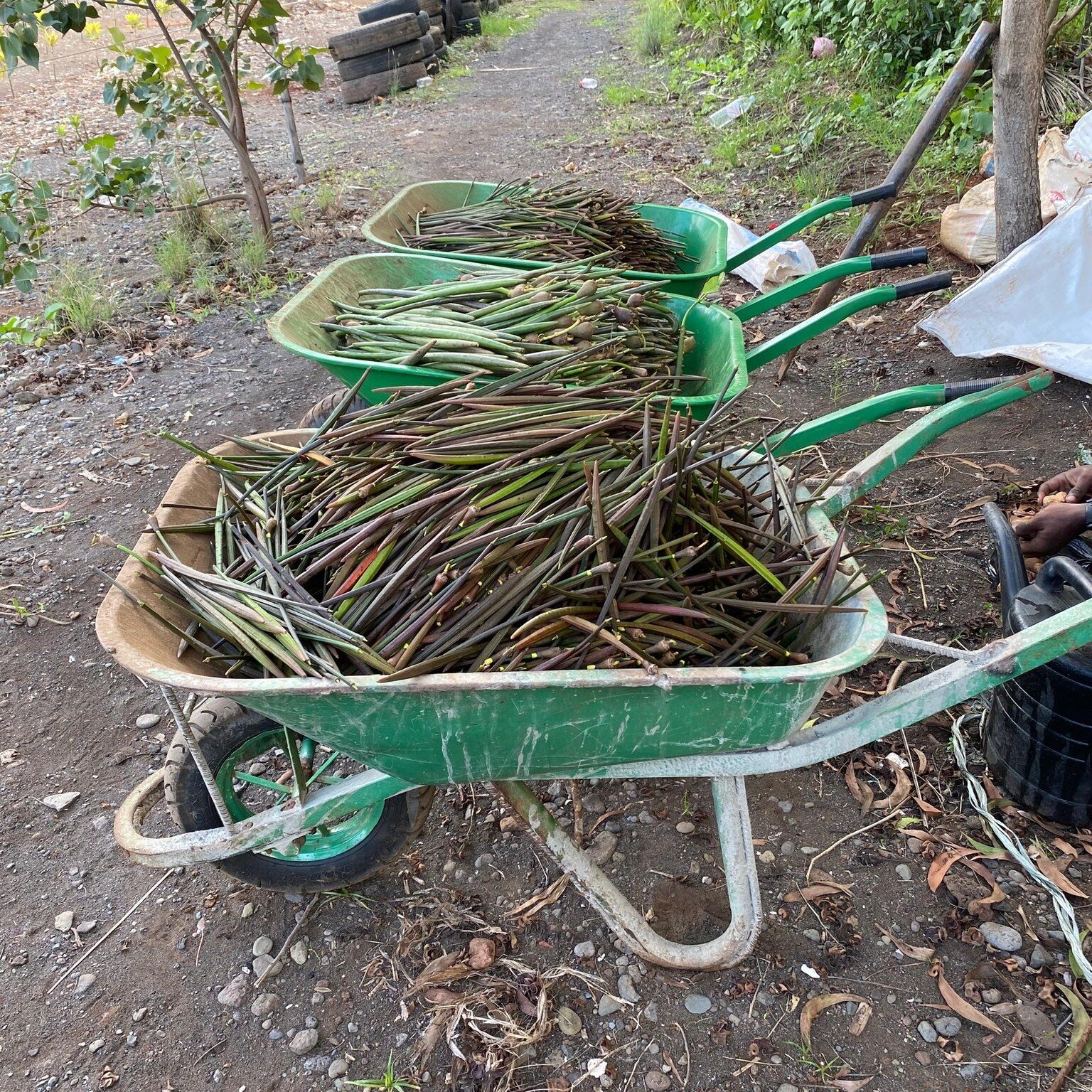 472554666_122195821712232745_1979802963987914215_n