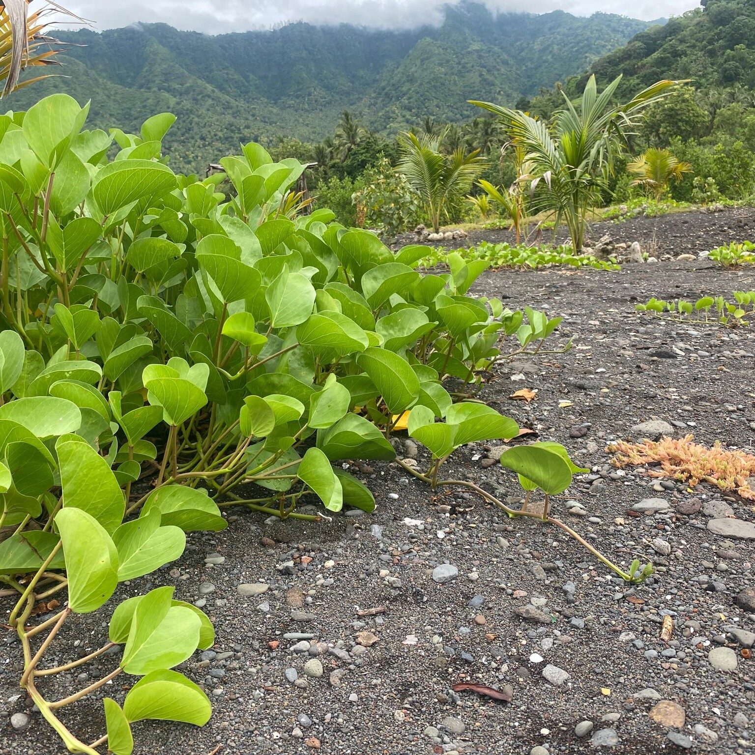 473762373_122198008502232745_1036268995701774268_n