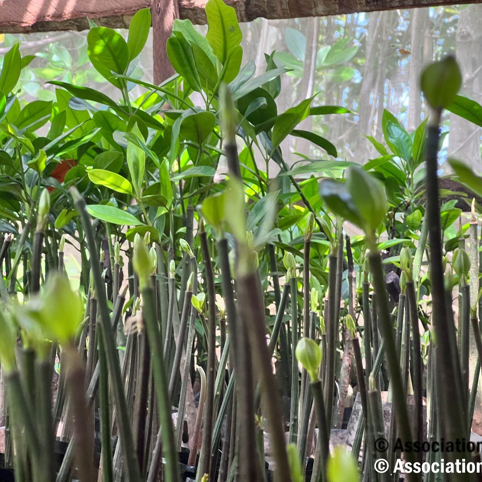 475048364_122199817886232745_6735857589415855664_n