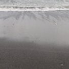 Combats-pour-les-plages-noires-arretons-lextraction-de-sable-marin-et-regenerons-naturellement-nos-littoraux