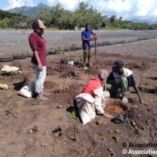 Protegeons-notre-littoral-avec-le-projet-RCOIP-plantons-des-mangroves-et-sauvegardons-notre-biodiversite
