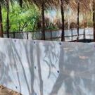 Revelation-Nos-deuxiemes-pepinieres-sont-achevees-Un-pas-important-vers-la-restauration-cotiere