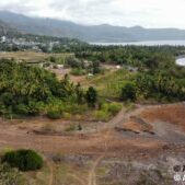 Revelons-le-spectaculaire-evolution-de-notre-parc-mangrove-en-images-
