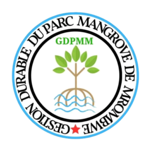 https://parc-mangrove-mrombwe.org/wp-content/uploads/2025/01/cropped-logo-mangrove-transparent.png